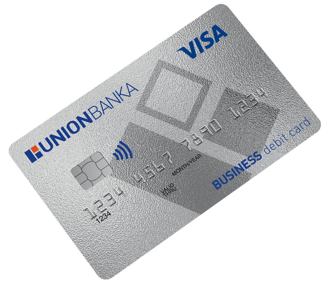 Visa Business 