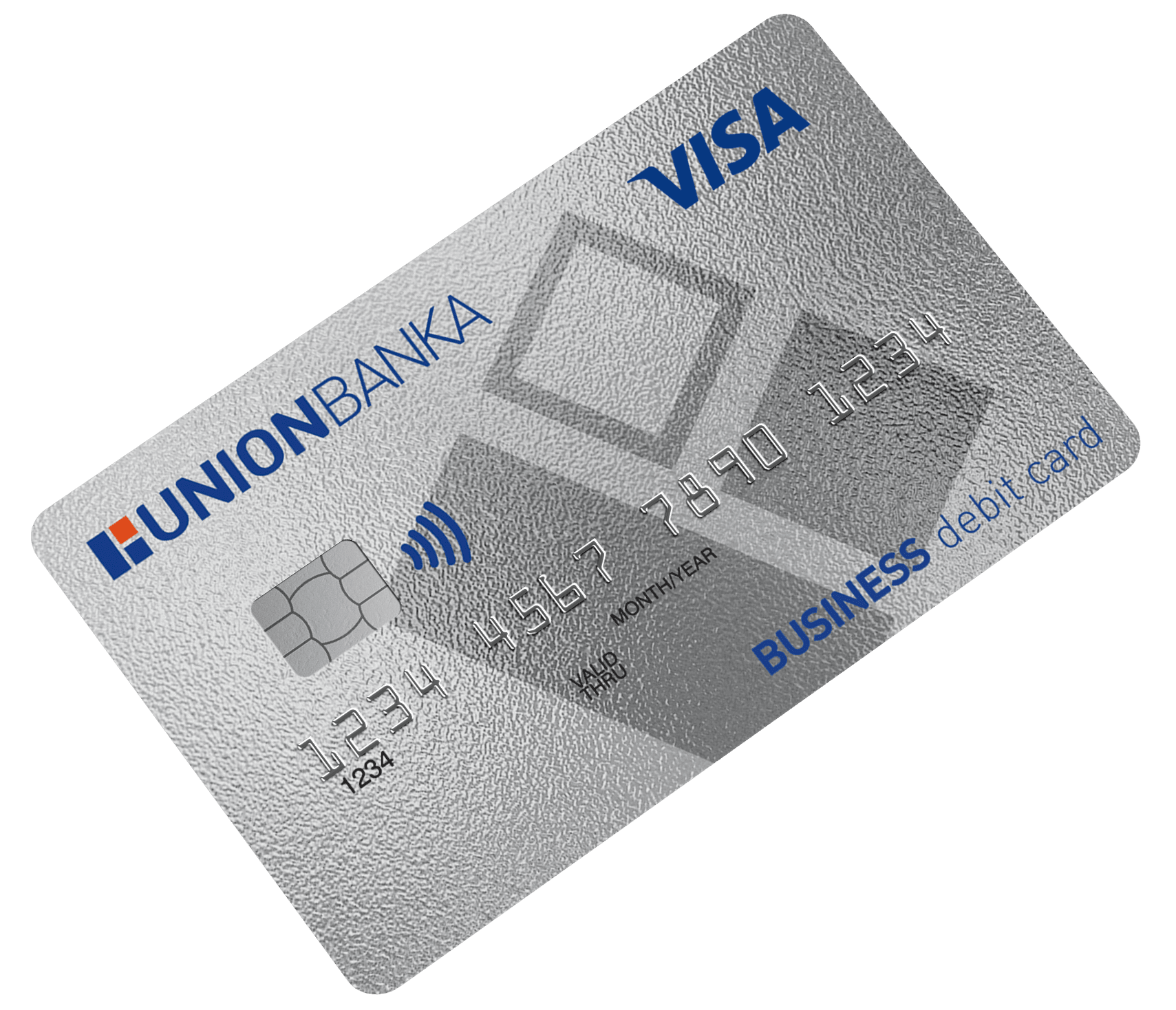 Visa business
